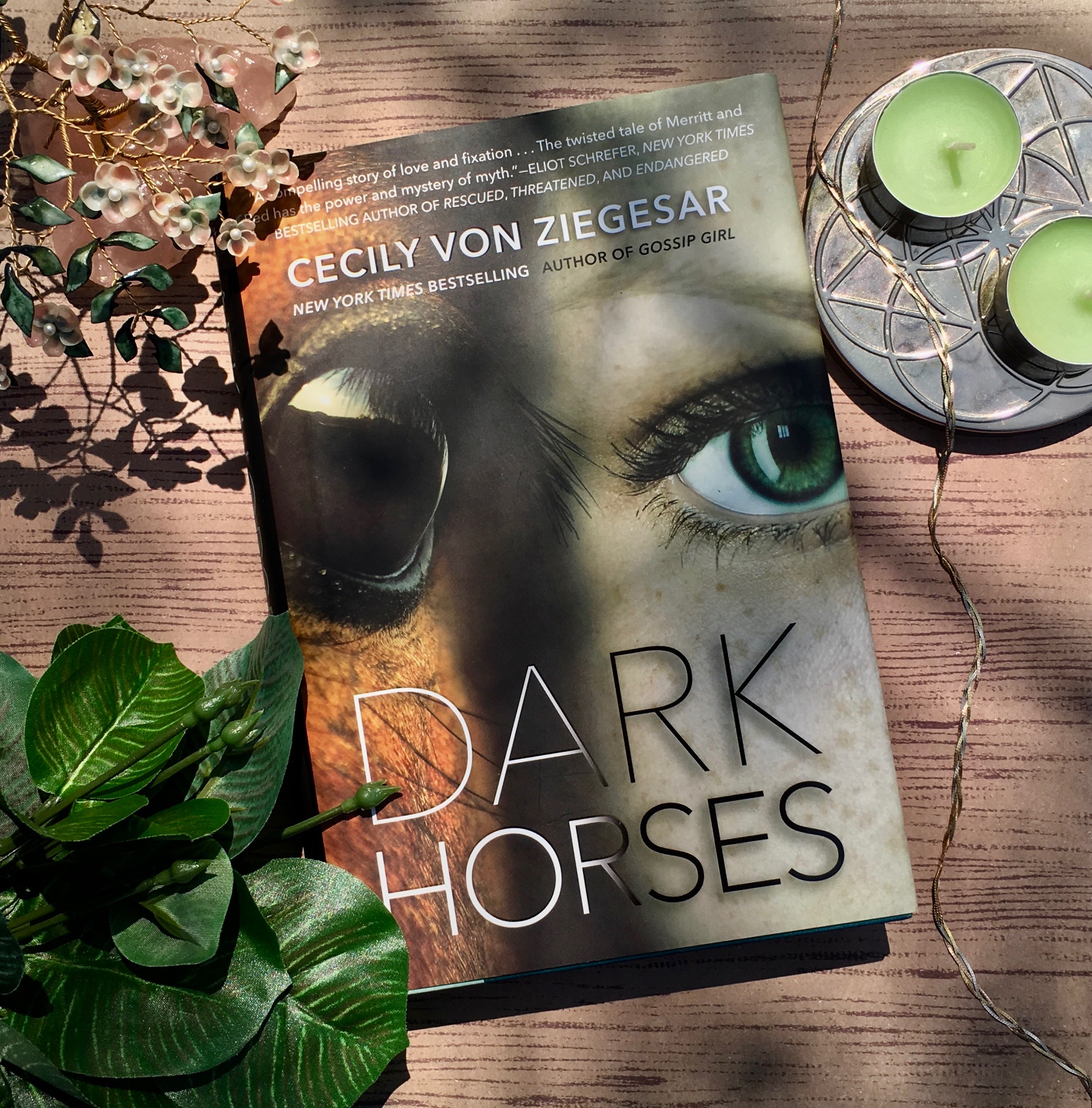 Dark Horses by Cecily Von Ziegsar – Review