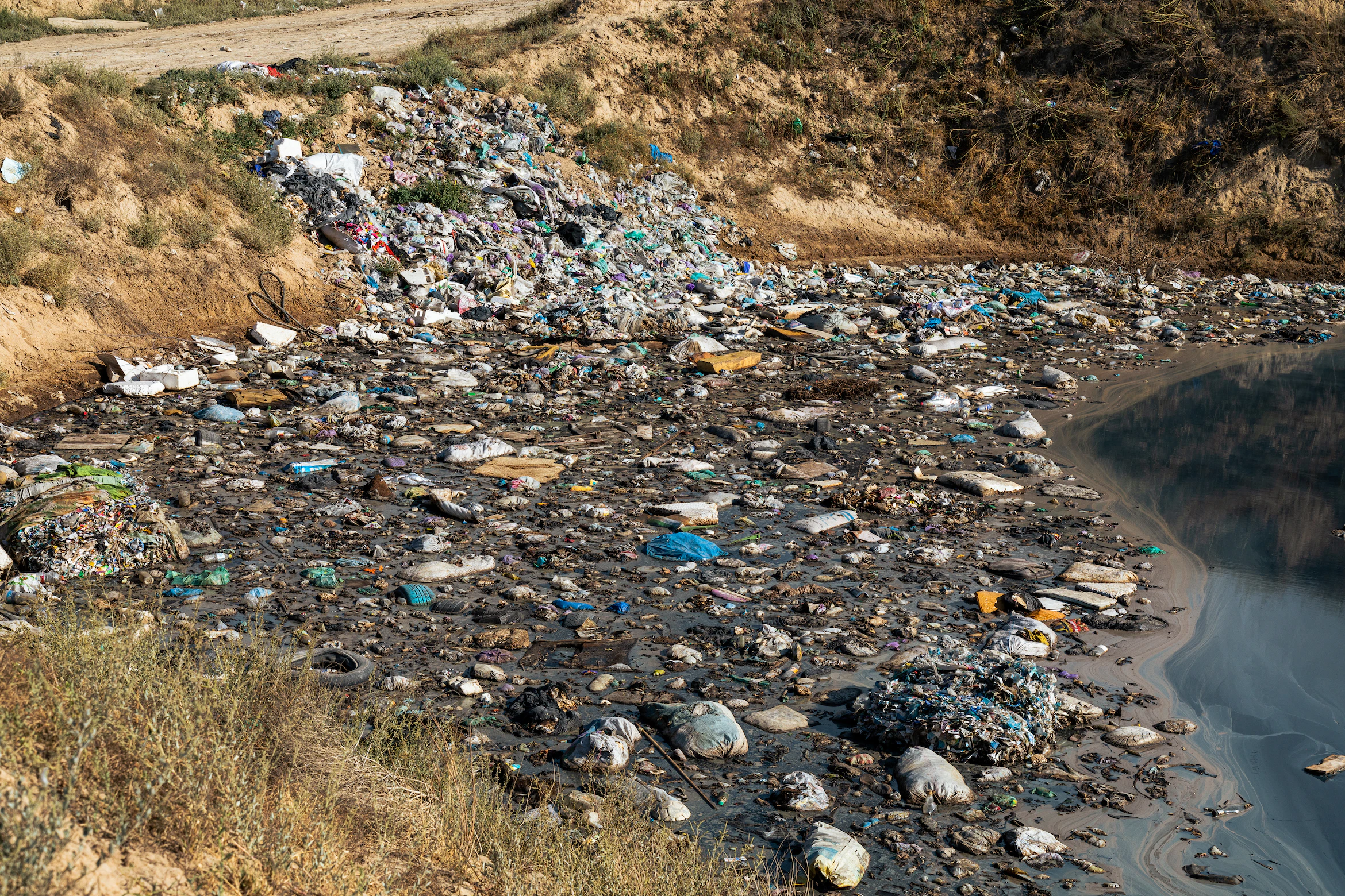 Mass Consumerism-Oriented Globalization in the Linear Economy of the 21st Century: How is it worsening the climate crisis?