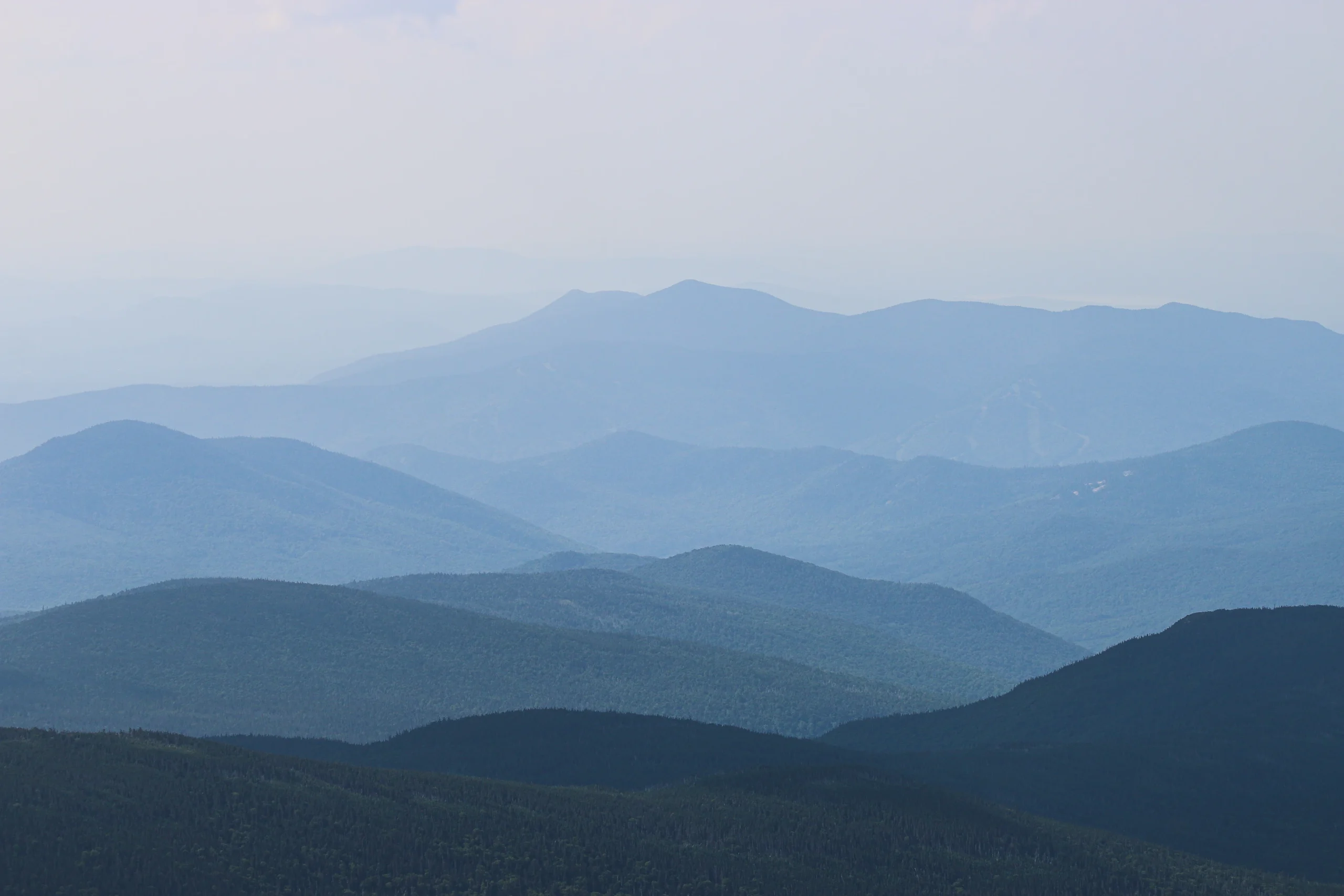 “Hills Like White Elephants”